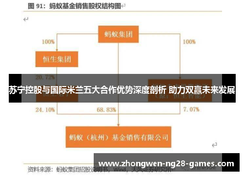 苏宁控股与国际米兰五大合作优势深度剖析 助力双赢未来发展