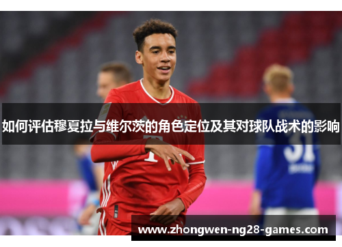 如何评估穆夏拉与维尔茨的角色定位及其对球队战术的影响